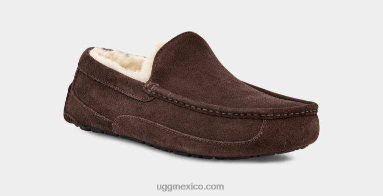 Café exprés 00NF1652 UGG hombres zapatilla ascot