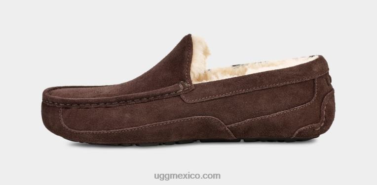 Café exprés 00NF1652 UGG hombres zapatilla ascot