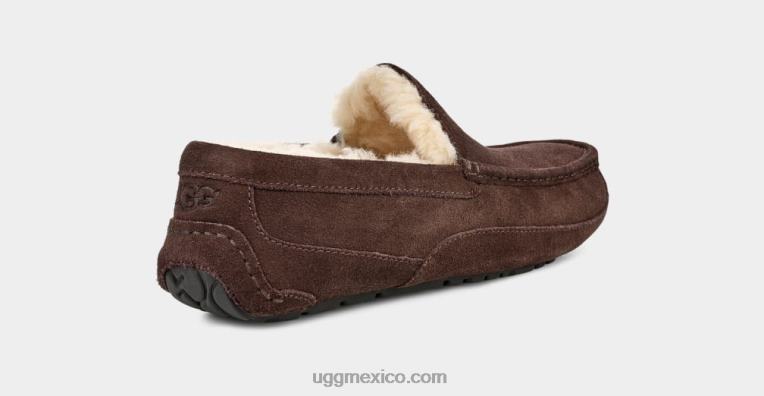 Café exprés 00NF1652 UGG hombres zapatilla ascot