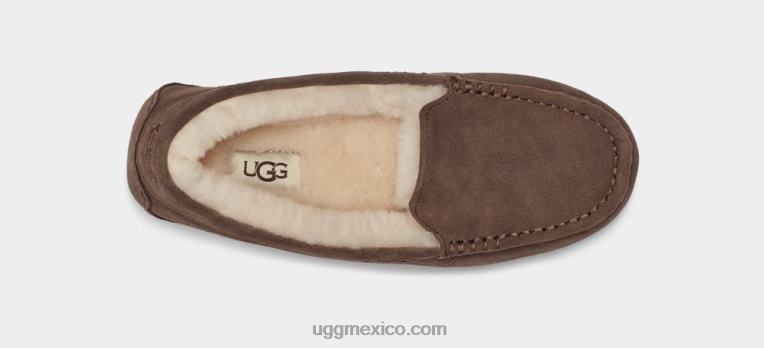 Café exprés 00NF374 UGG mujer ansley