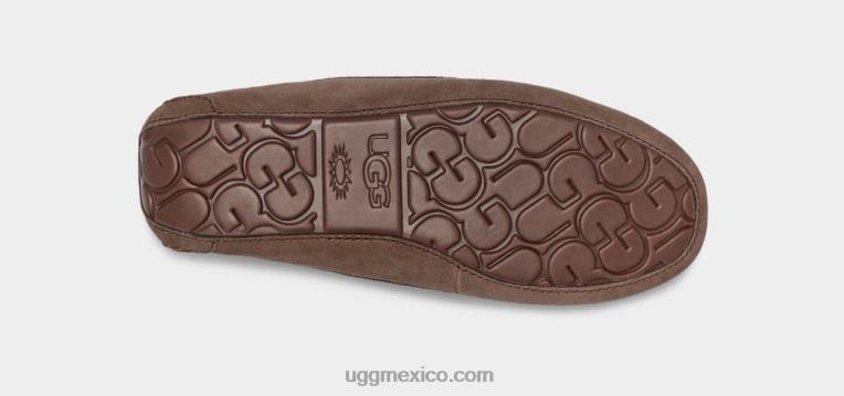 Café exprés 00NF374 UGG mujer ansley