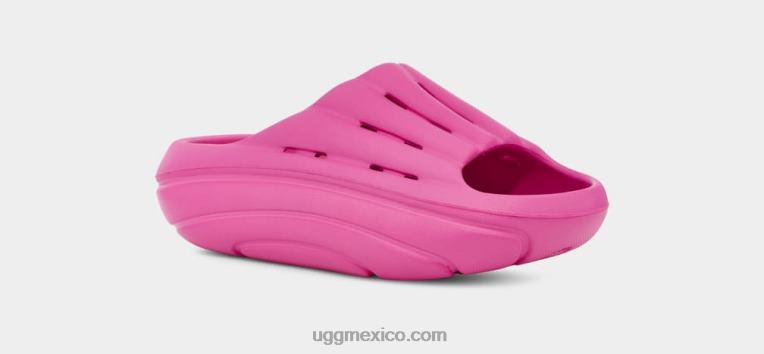 Dragon de fruta 00NF375 UGG mujer tobogán de espuma