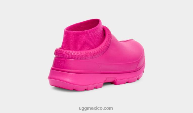 Dragon de fruta 00NF429 UGG mujer Tasmania x