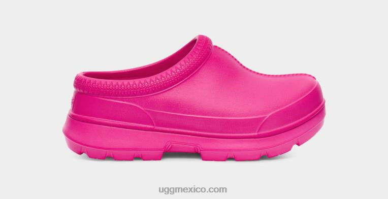 Dragon de fruta 00NF429 UGG mujer Tasmania x
