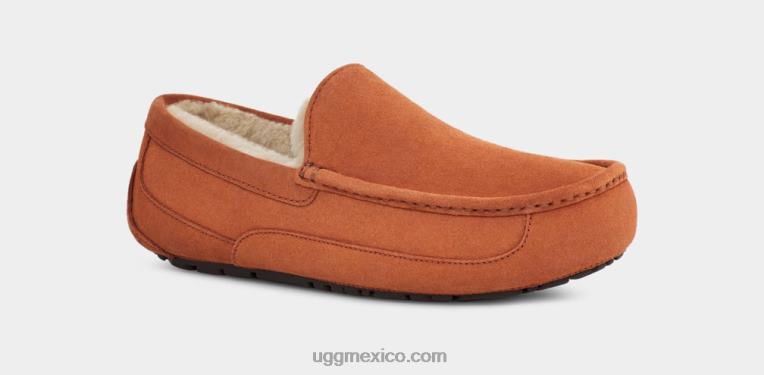 Tablas de madera 00NF1651 UGG hombres zapatilla ascot