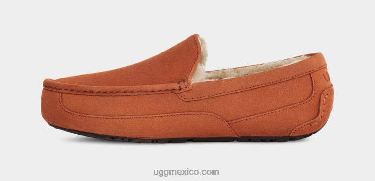 Tablas de madera 00NF1651 UGG hombres zapatilla ascot