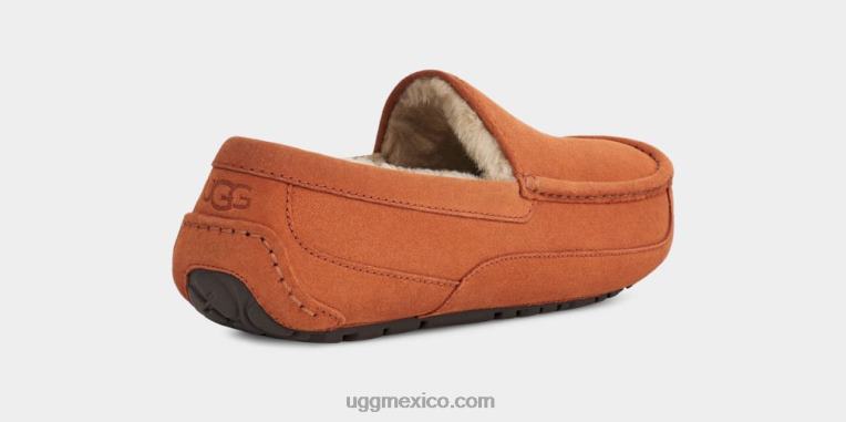 Tablas de madera 00NF1651 UGG hombres zapatilla ascot