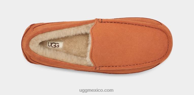 Tablas de madera 00NF1651 UGG hombres zapatilla ascot