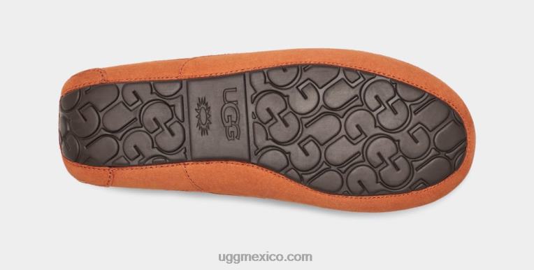 Tablas de madera 00NF1651 UGG hombres zapatilla ascot