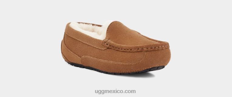 ante castaño 00NF2325 UGG niños fular