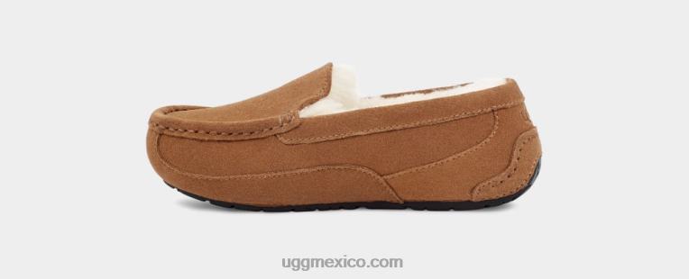 ante castaño 00NF2325 UGG niños fular