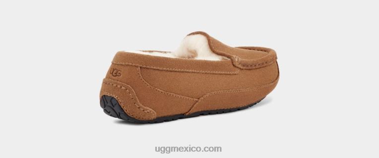 ante castaño 00NF2325 UGG niños fular