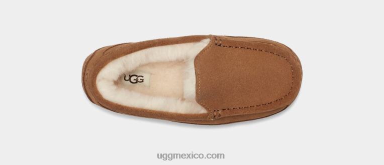 ante castaño 00NF2325 UGG niños fular