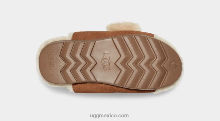ante castaño 00NF788 UGG mujer hebilla deslizante