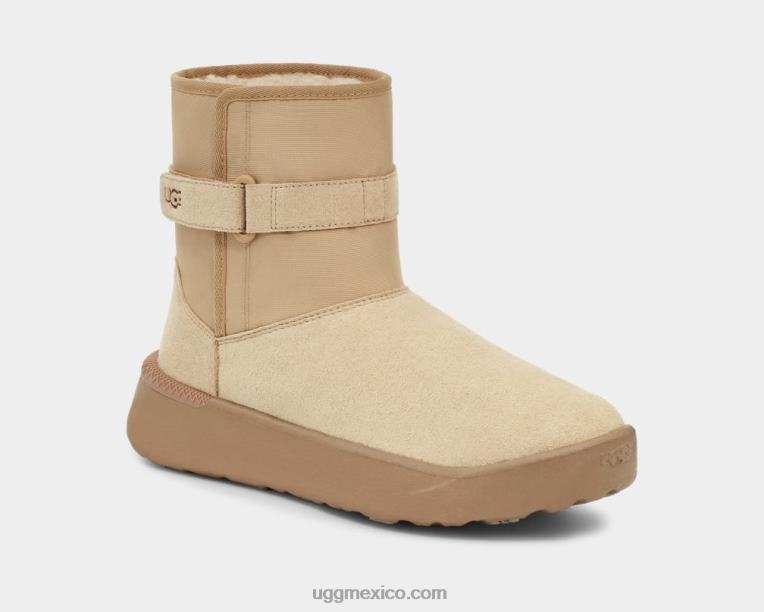 arena 00NF1485 UGG hombres clásico