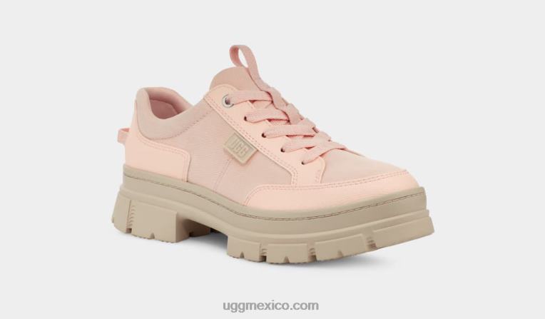 beige rosado 00NF494 UGG mujer híbrido ashton