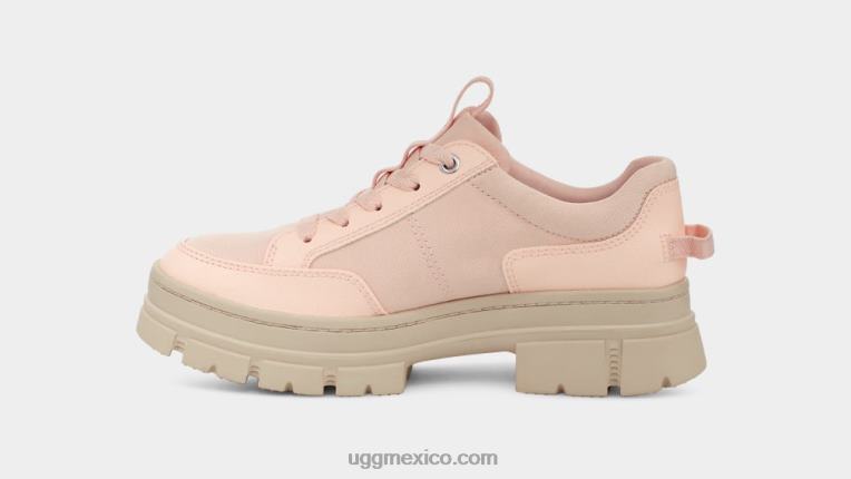 beige rosado 00NF494 UGG mujer híbrido ashton