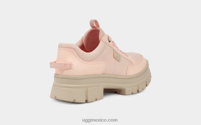 beige rosado 00NF494 UGG mujer híbrido ashton