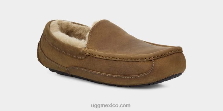 broncearse 00NF1504 UGG hombres ascot de cuero mate