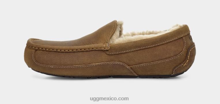 broncearse 00NF1504 UGG hombres ascot de cuero mate