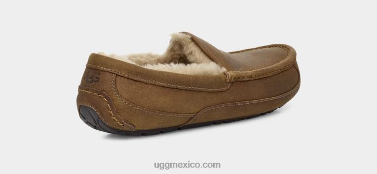 broncearse 00NF1504 UGG hombres ascot de cuero mate