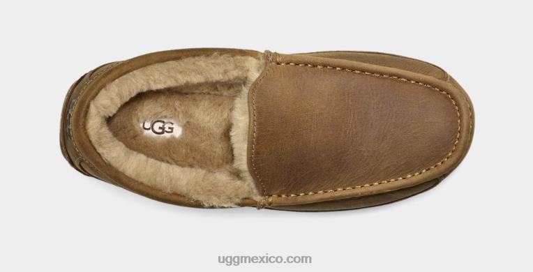 broncearse 00NF1504 UGG hombres ascot de cuero mate