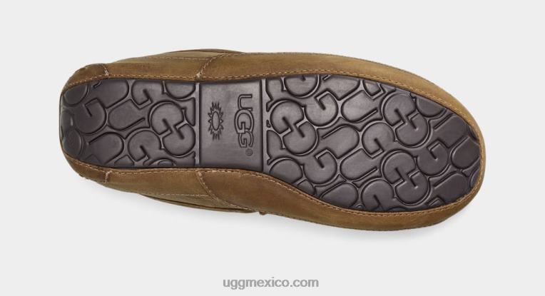 broncearse 00NF1504 UGG hombres ascot de cuero mate