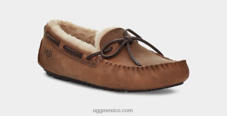 broncearse 00NF203 UGG hombres Olsen