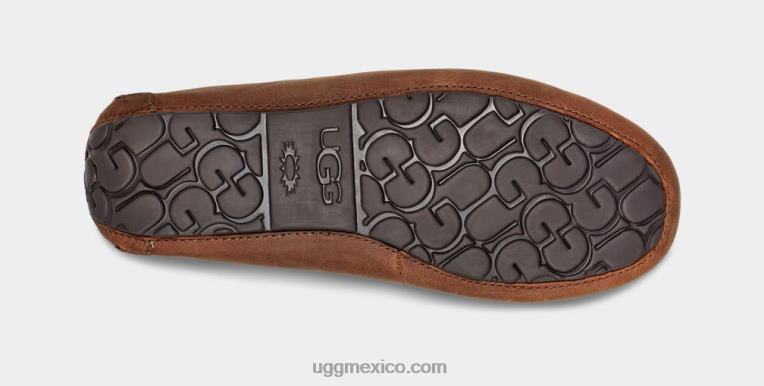 broncearse 00NF203 UGG hombres Olsen