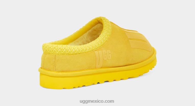 canario 00NF219 UGG hombres gráfico de dispersión de Tasmania