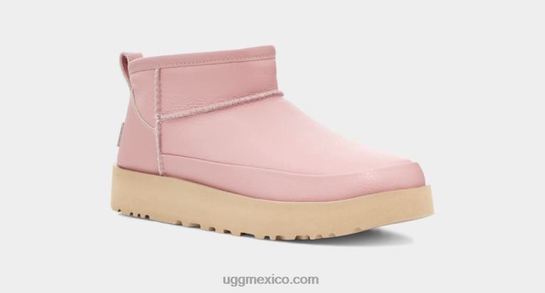 caparazón 00NF812 UGG mujer azúcar clásico ultra mini