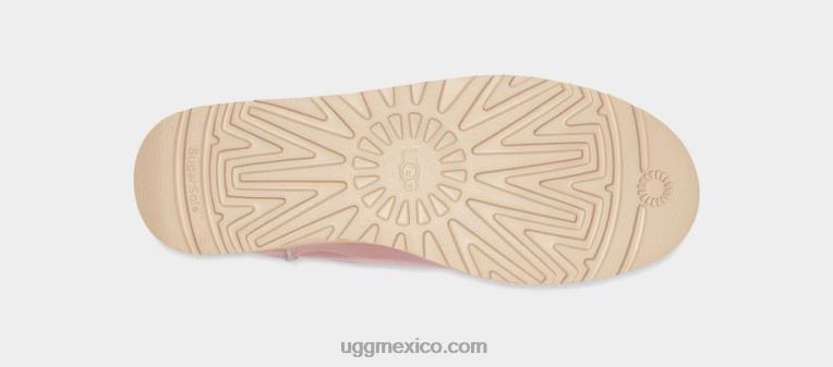 caparazón 00NF812 UGG mujer azúcar clásico ultra mini