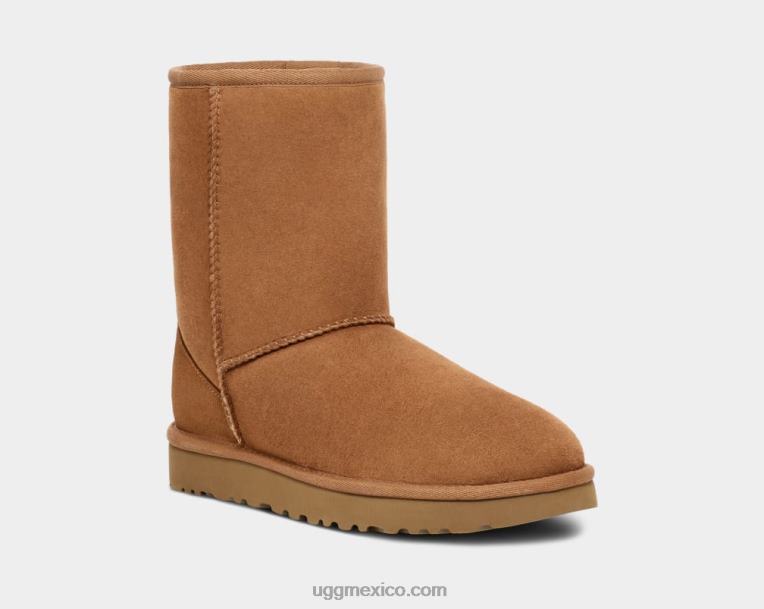 castaña 00NF1 UGG mujer clásico corto ii