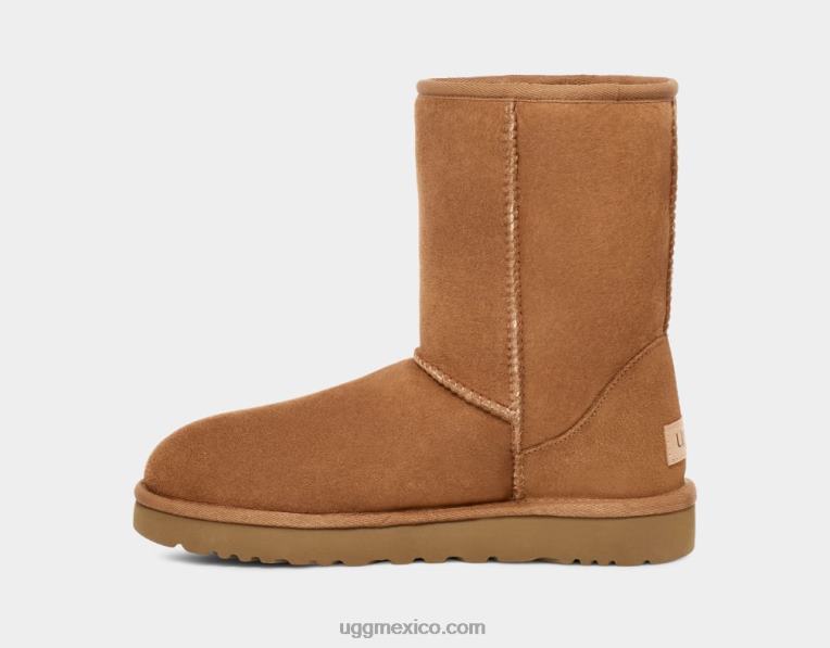 castaña 00NF1 UGG mujer clásico corto ii