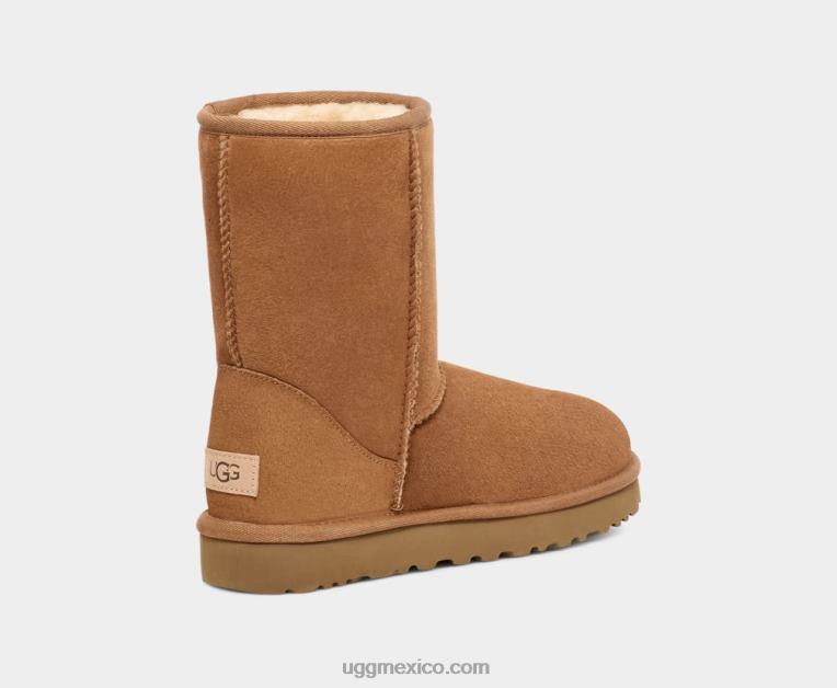 castaña 00NF1 UGG mujer clásico corto ii
