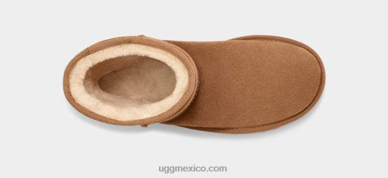 castaña 00NF1 UGG mujer clásico corto ii