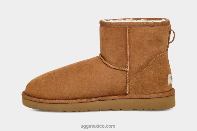 castaña 00NF1405 UGG hombres minibota clásica