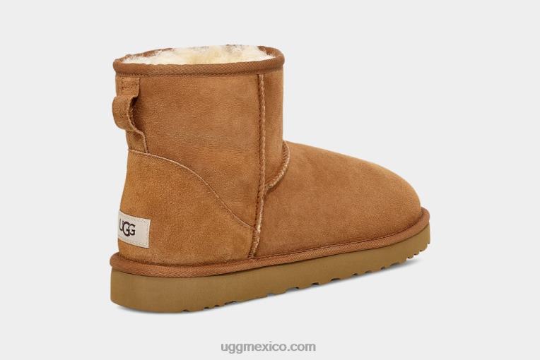 castaña 00NF1405 UGG hombres minibota clásica