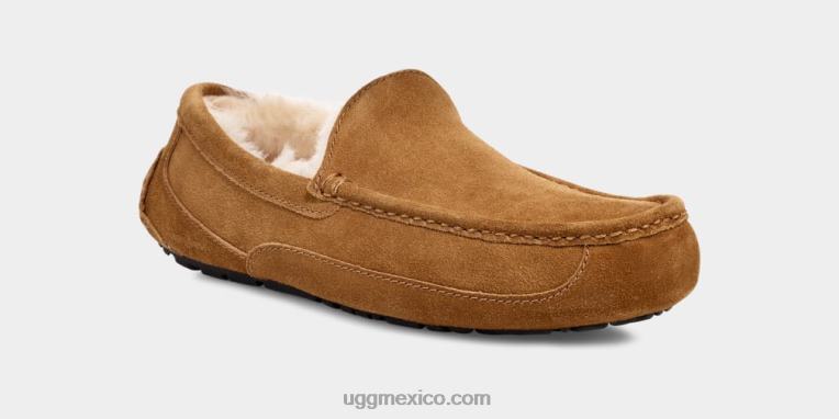 castaña 00NF1421 UGG hombres zapatilla ascot