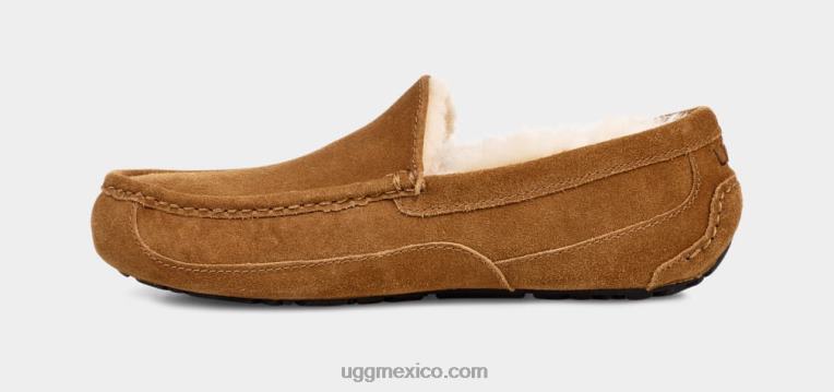 castaña 00NF1421 UGG hombres zapatilla ascot