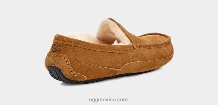 castaña 00NF1421 UGG hombres zapatilla ascot