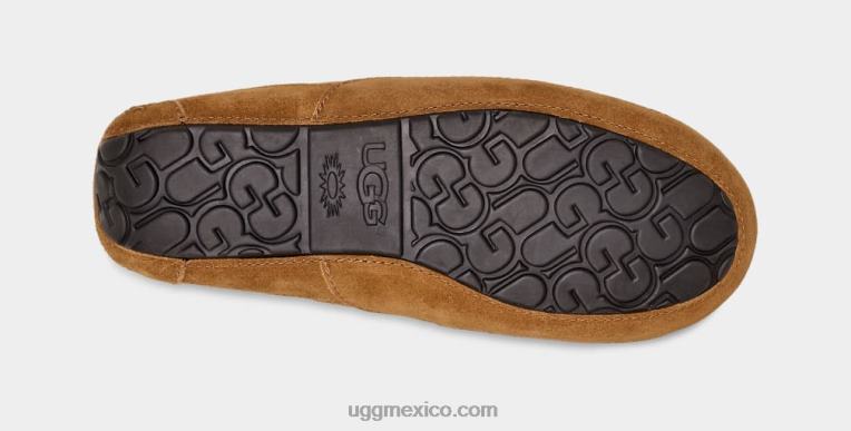 castaña 00NF1421 UGG hombres zapatilla ascot