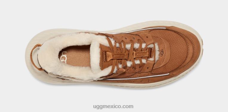 castaña 00NF1474 UGG hombres patrimonio ca805 v2