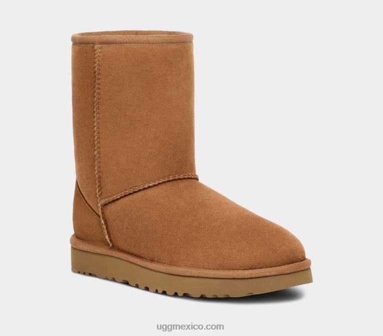 castaña 00NF1515 UGG hombres corto clásico