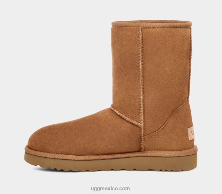 castaña 00NF1515 UGG hombres corto clásico