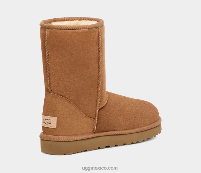 castaña 00NF1515 UGG hombres corto clásico
