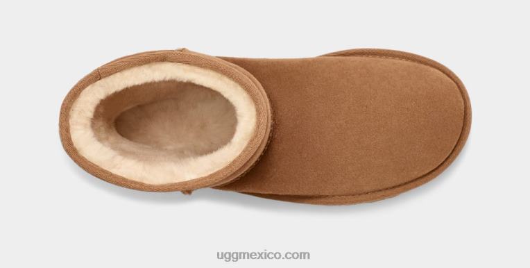 castaña 00NF1515 UGG hombres corto clásico