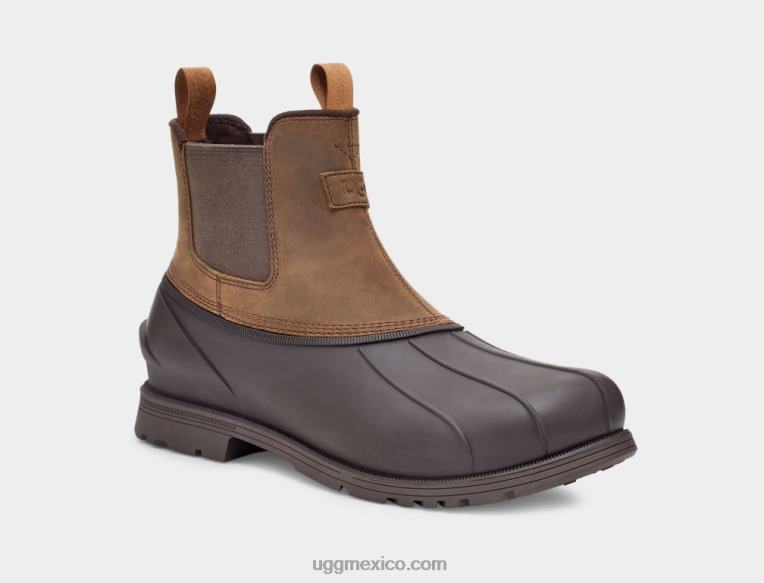 castaña 00NF1520 UGG hombres gatson chelsea