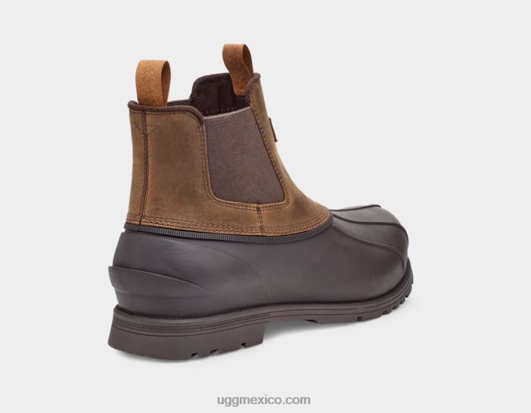 castaña 00NF1520 UGG hombres gatson chelsea