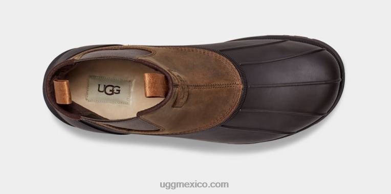 castaña 00NF1520 UGG hombres gatson chelsea